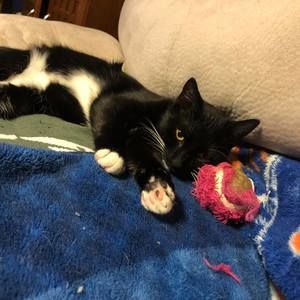 Meet your Posher, Arthetta